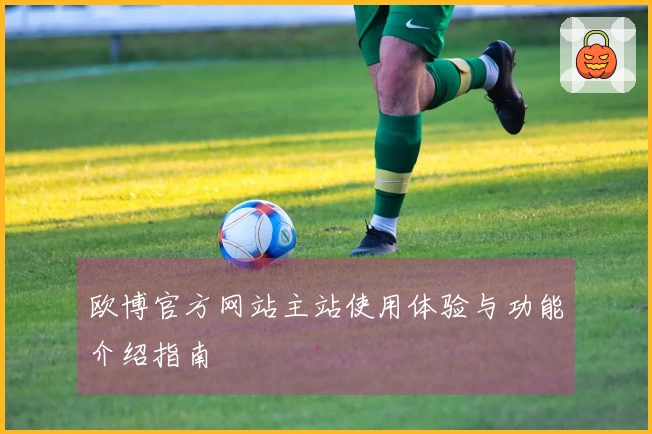 欧博官方网站主站使用体验与功能介绍指南