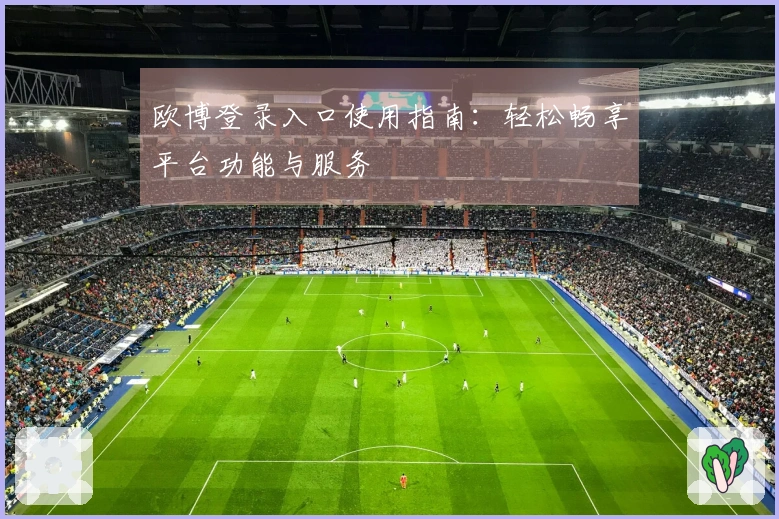 欧博登录入口使用指南:轻松畅享平台功能与服务