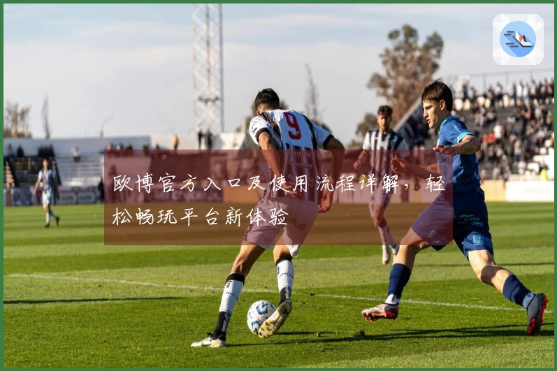 欧博官方入口及使用流程详解，轻松畅玩平台新体验