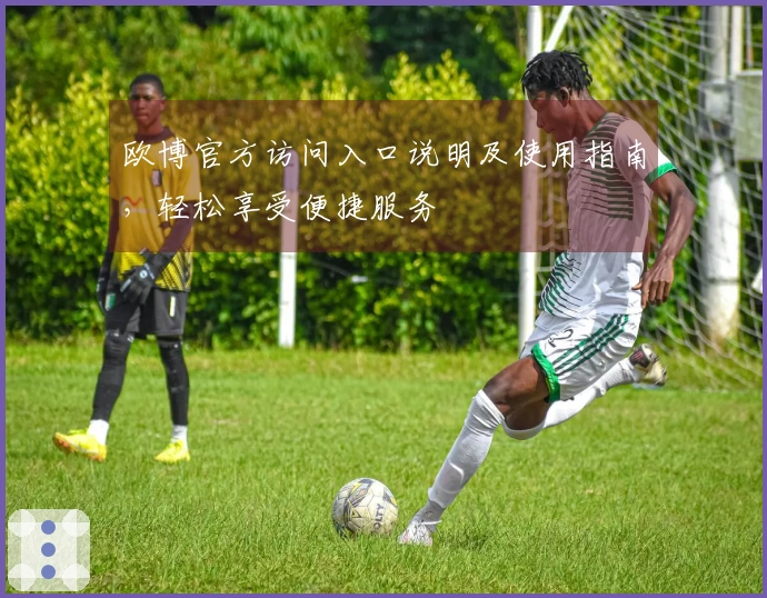 欧博官方访问入口说明及使用指南，轻松享受便捷服务