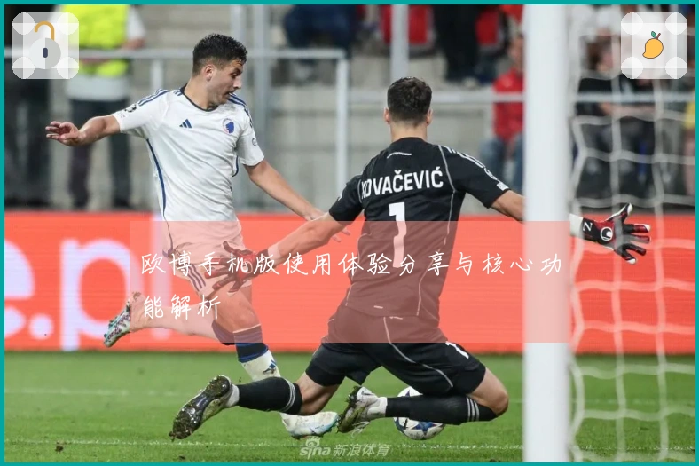 欧博手机版使用体验分享与核心功能解析