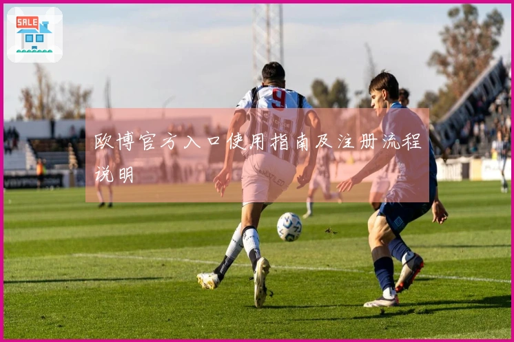 欧博官方入口使用指南及注册流程说明