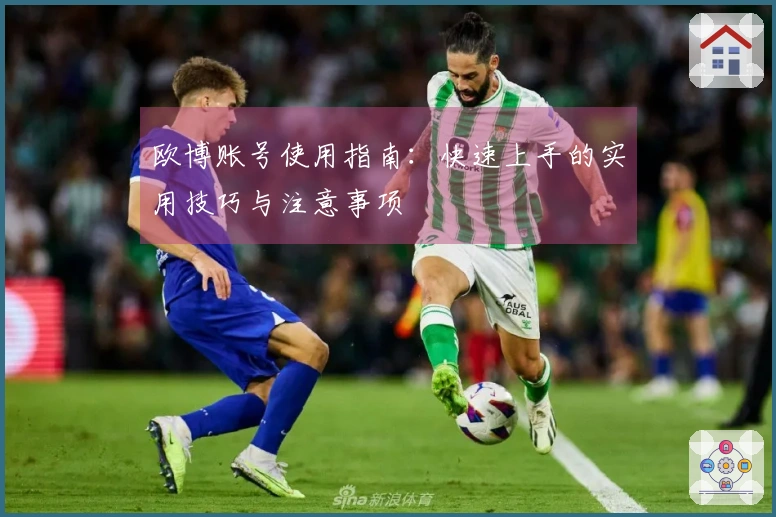 欧博账号使用指南：快速上手的实用技巧与注意事项