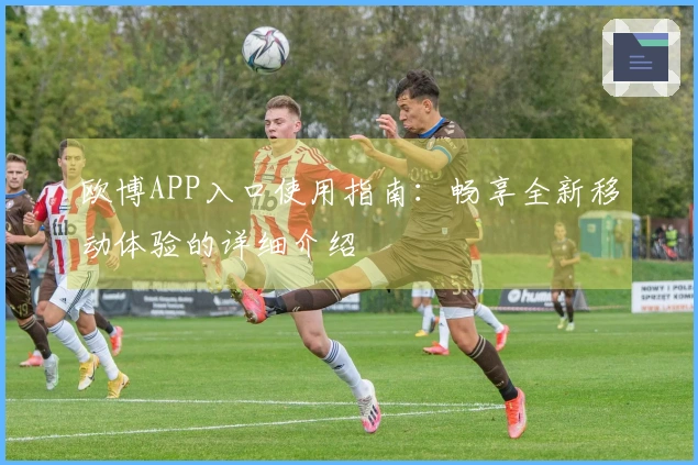 欧博APP入口使用指南：畅享全新移动体验的详细介绍