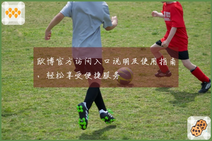 欧博官方访问入口说明及使用指南，轻松享受便捷服务